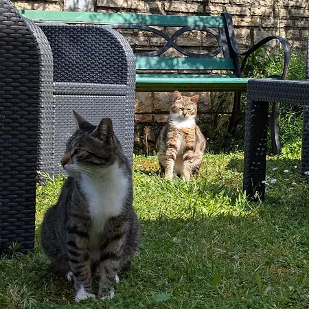 Glam Διαμέρισμα *